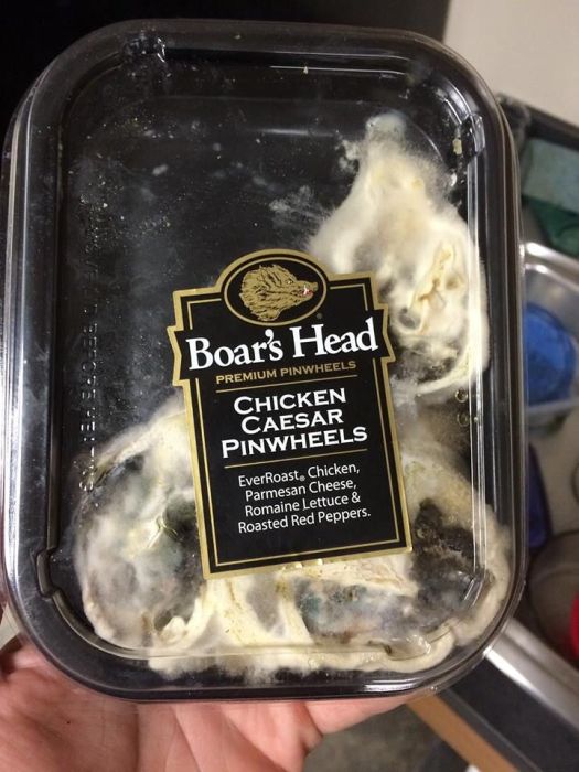 Disgusting Foods That Were Found In The Office Refrigerator (16 pics)