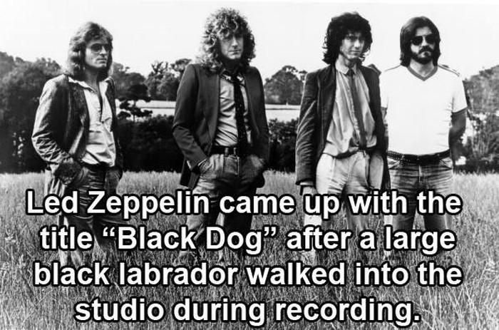 Music Facts (29 pics)