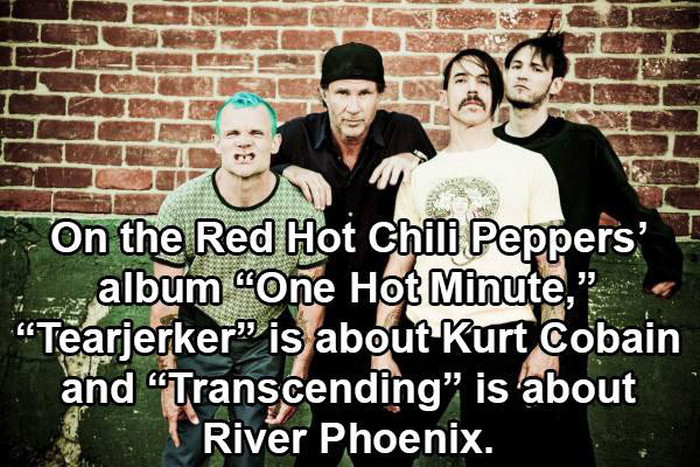 Music Facts (29 pics)