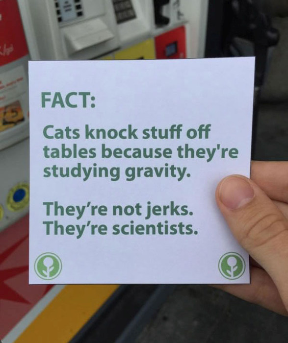 This Guy Filled Up An Empty Box With The Most Hilarious Fun Facts Ever (10 pics)