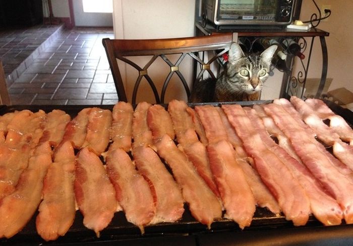 Acid Picdump (102 pics)