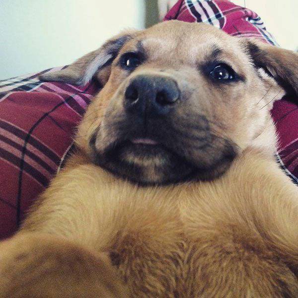 Acid Picdump (102 pics)