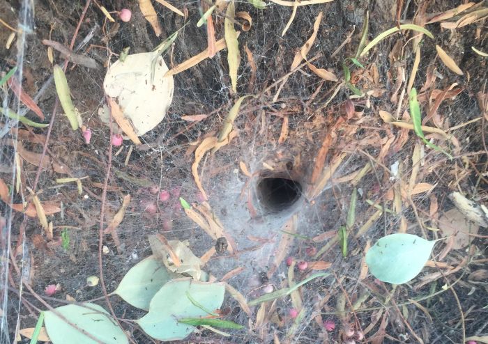 Don't Stick Your Finger Down This Hole (3 pics)