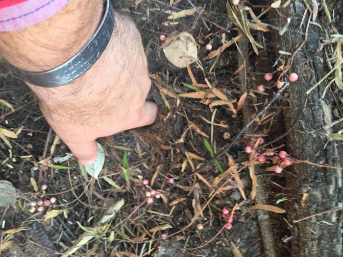 Don't Stick Your Finger Down This Hole (3 pics)