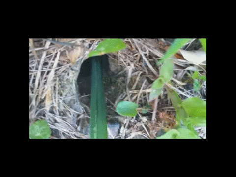 Don't Stick Your Finger Down This Hole (3 pics)