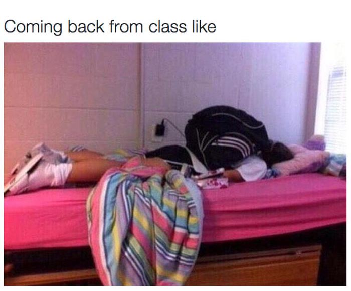 Back To College (26 pics)