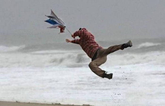 Blown By The Wind (41 pics)