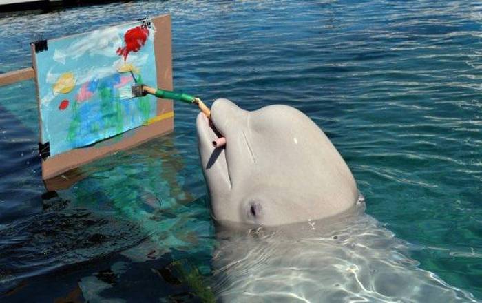Acid Picdump (97 pics)