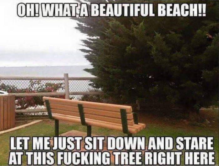 Below-the-Belt  and Dirty Humor (36 pics)