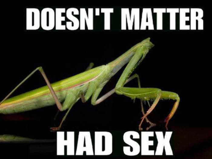 Below-the-Belt  and Dirty Humor (36 pics)