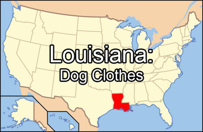 Embarrassing Things That Each State Googles More Than Any Other (51 pics)