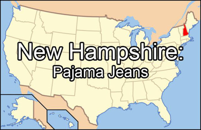 Embarrassing Things That Each State Googles More Than Any Other (51 pics)