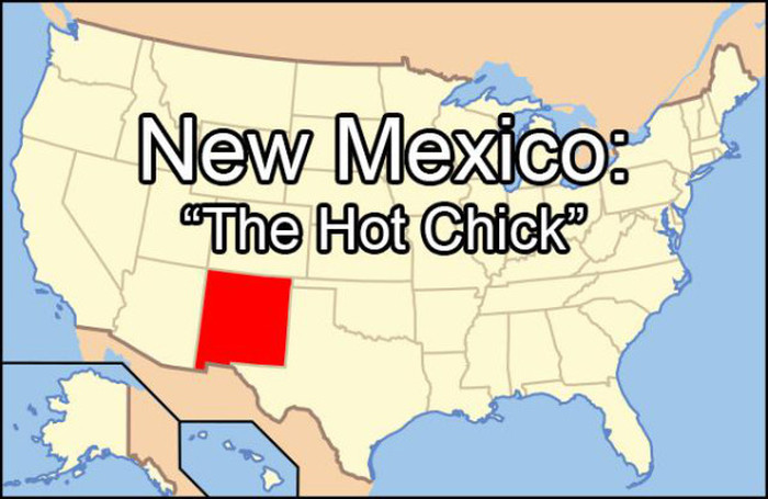 Embarrassing Things That Each State Googles More Than Any Other (51 pics)