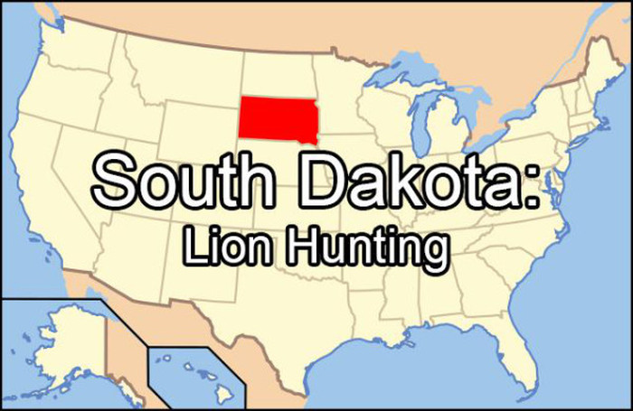 Embarrassing Things That Each State Googles More Than Any Other (51 pics)