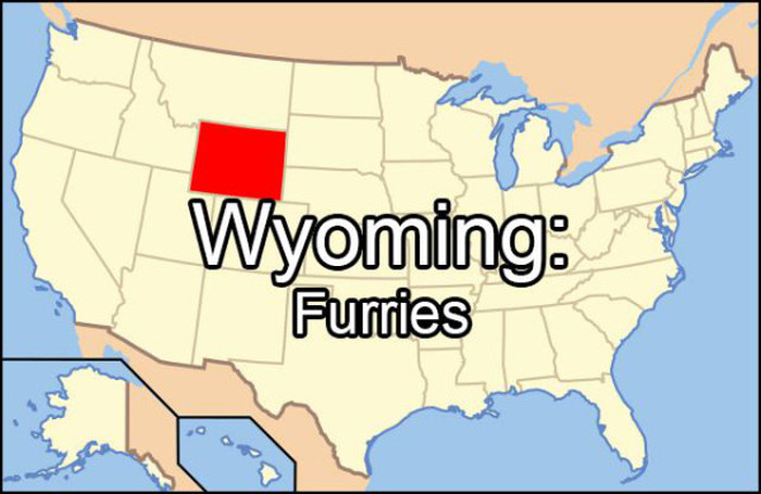 Embarrassing Things That Each State Googles More Than Any Other (51 pics)