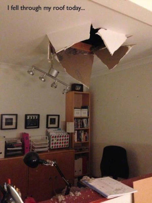 Everything Was Going Fine and Then This Happened (46 pics)