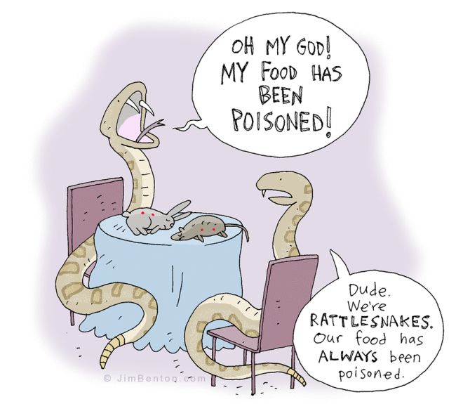 Funny Comics By Jim Benton (35 pics)