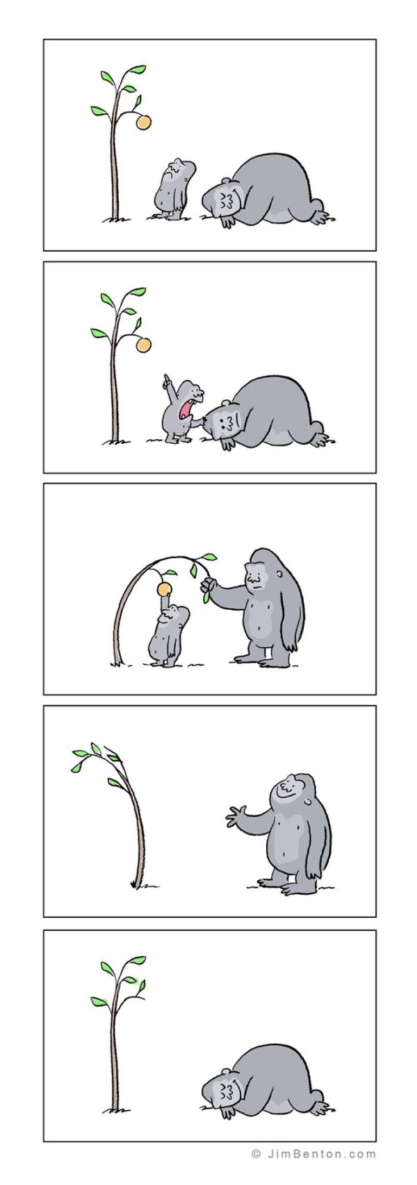 Funny Comics By Jim Benton (35 pics)