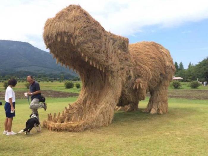 Acid Picdump (105 pics)