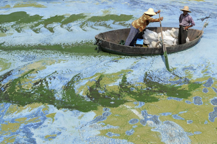 These Photos Are Real (26 pics)