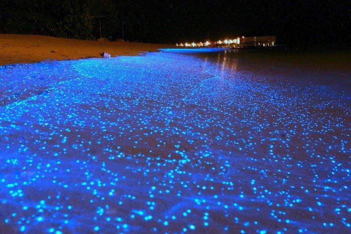 These Photos Are Real (26 pics)