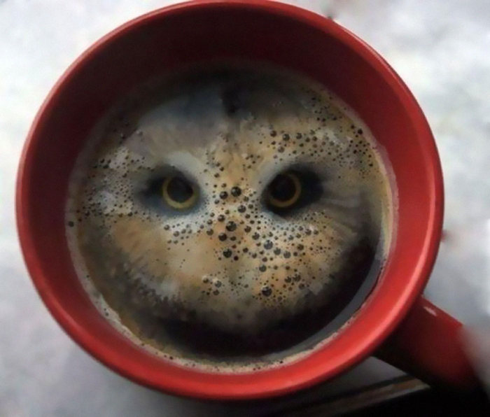 These Photos Are Real (26 pics)
