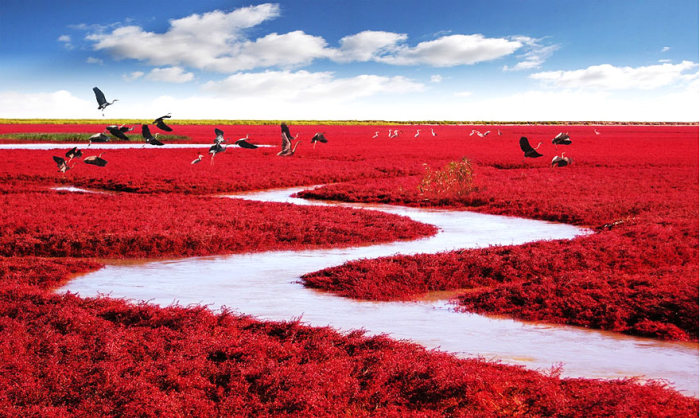 These Photos Are Real (26 pics)