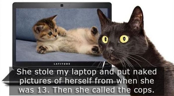 How to Take Revenge on Exes (5 pics)