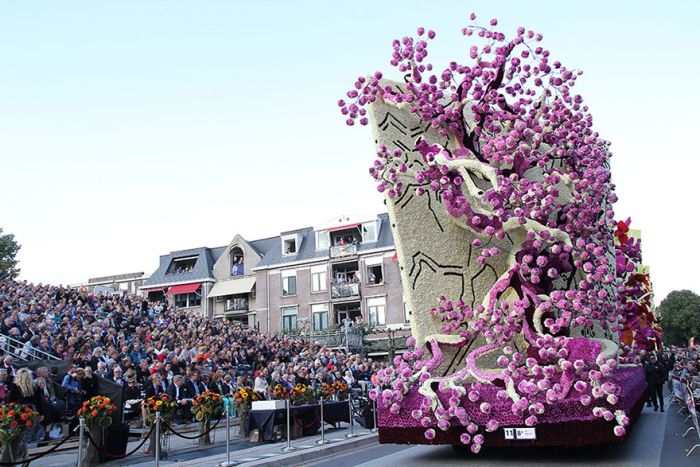 World’s Largest Flower Parade In The Netherlands (14 pics)