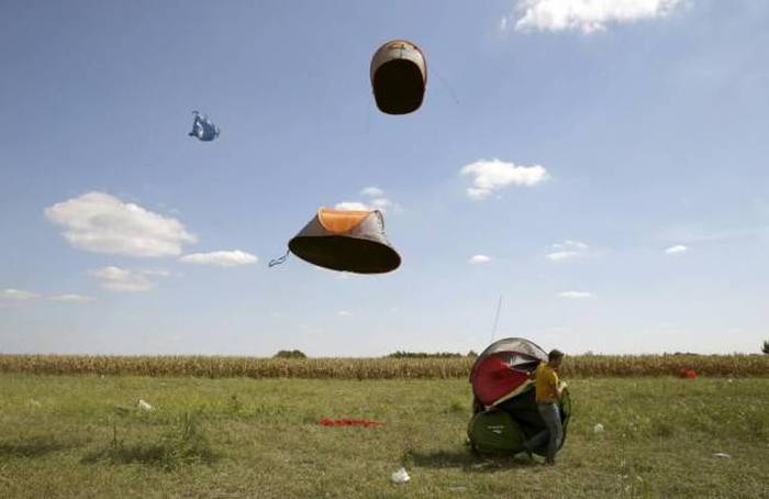 Acid Picdump (111 pics)