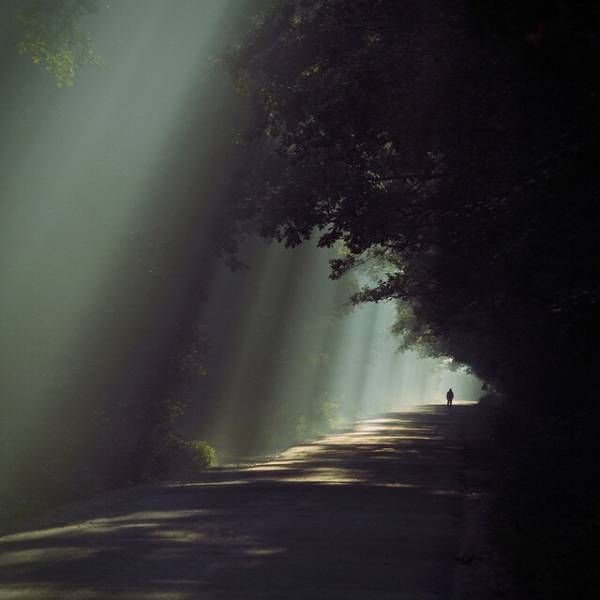 Acid Picdump (111 pics)