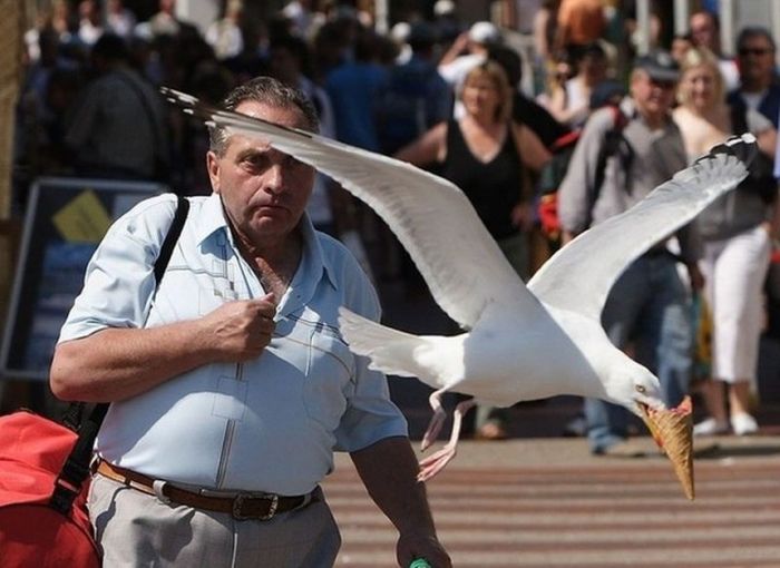 Perfectly Timed Photos (40 pics)