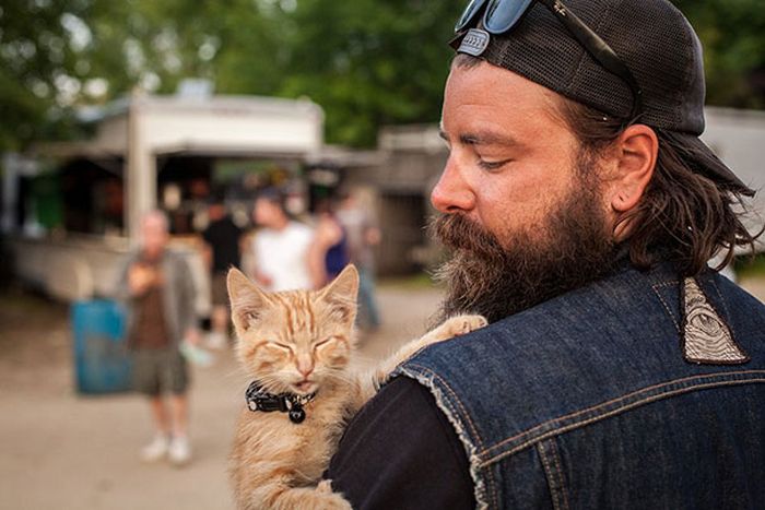 Cat Gets Rescued By Biker Then Goes On A Road Trip (11 pics)