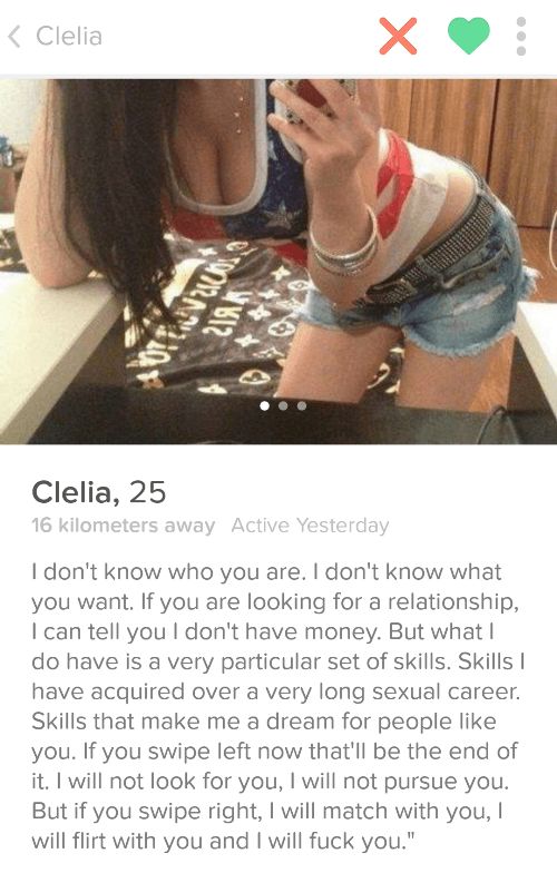 You're Definitely Going To Swipe Right For These Tinder Profiles (29 pics)