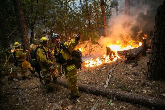 Wildfires Have Turned California Into A State Of Emergency (21 pics)