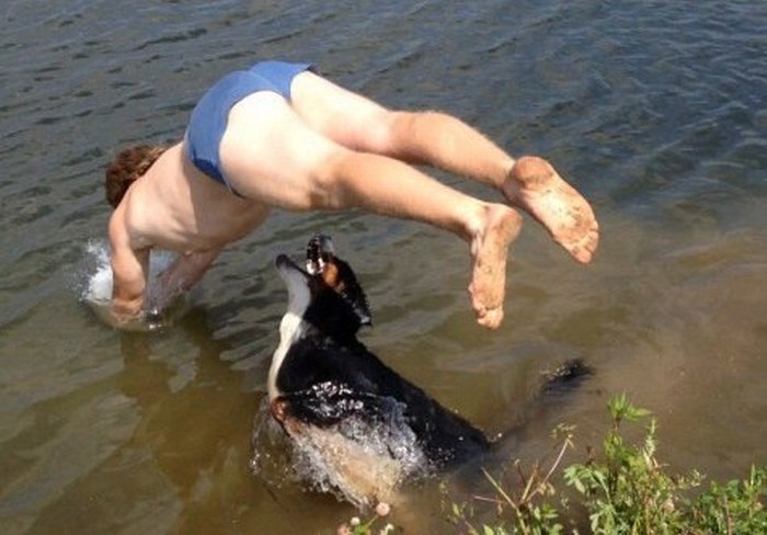 Diving Man Gets Wrecked By Dog (3 pics)