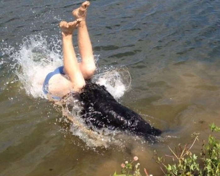 Diving Man Gets Wrecked By Dog (3 pics)