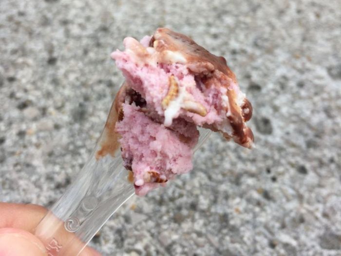 Insect Flavored Ice Cream Is A Big Hit In London (5 pics)