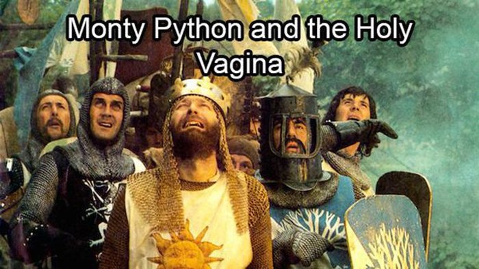 Movie Titles Sound A Lot Funnier When You Replace The Words With Vagina (24 pics)