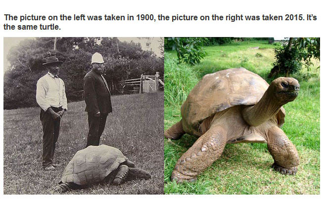 Very Interesting Photos. Part 98 (20 pics)