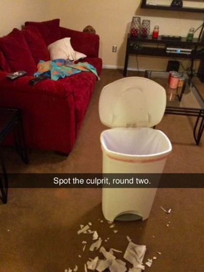 Funny Snapchat Pics That Are Perfect For Dog Lovers (15 pics)