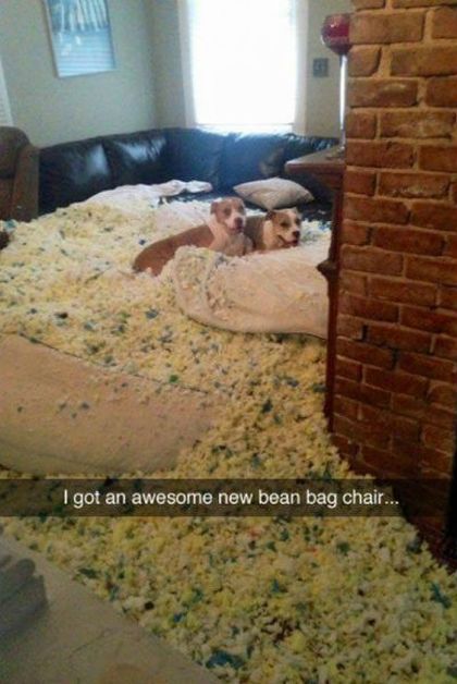 Funny Snapchat Pics That Are Perfect For Dog Lovers (15 pics)