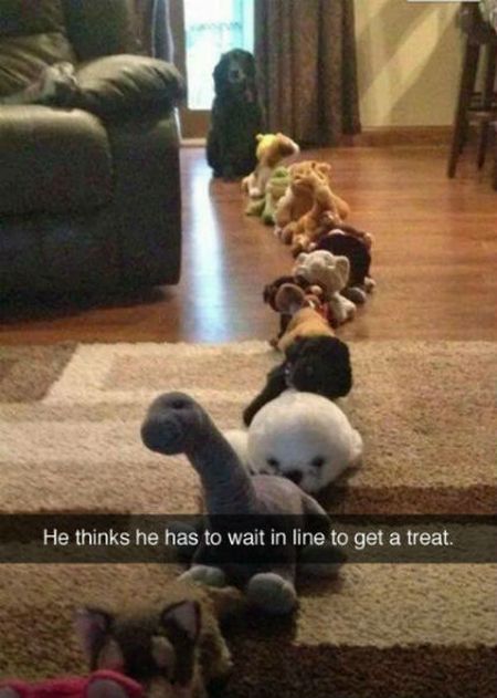 Funny Snapchat Pics That Are Perfect For Dog Lovers (15 pics)