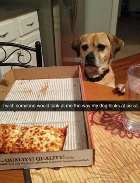 Funny Snapchat Pics That Are Perfect For Dog Lovers (15 pics)