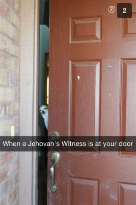Funny Snapchat Pics That Are Perfect For Dog Lovers (15 pics)