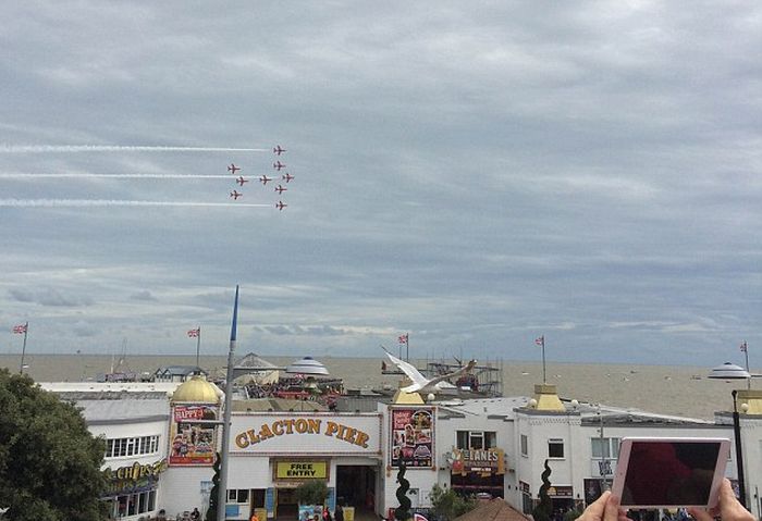 Seagull Photobombs Red Arrow Aerobatic Team (4 pics)