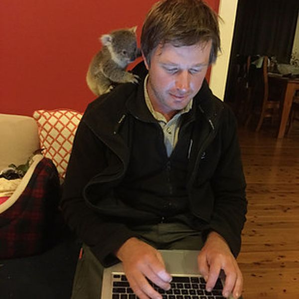 This Baby Koala Has Some Pretty Awesome Keepers (7 pics)