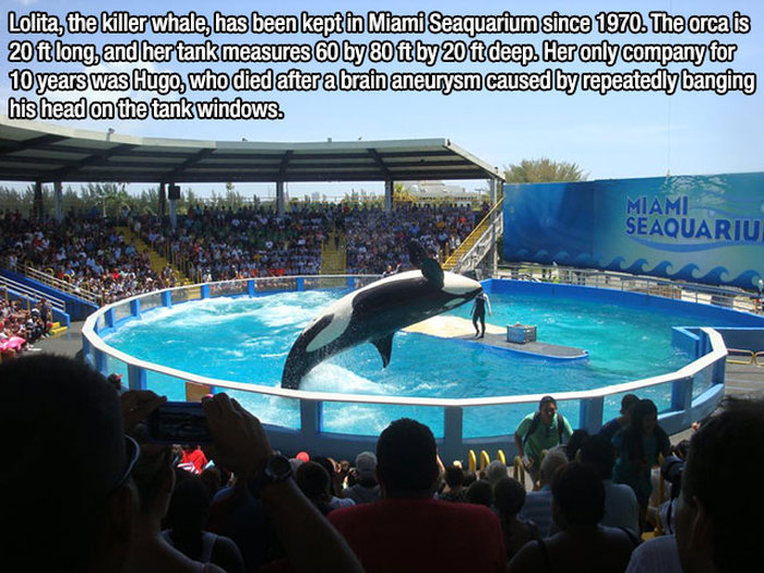 Fire Up Your Brain With These 15 Insane And Interesting Facts (15 pics)