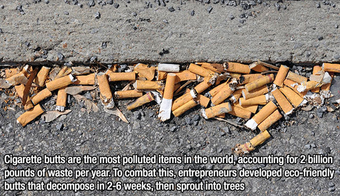 Fire Up Your Brain With These 15 Insane And Interesting Facts (15 pics)