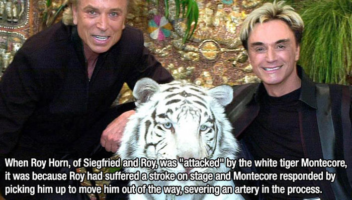 Fire Up Your Brain With These 15 Insane And Interesting Facts (15 pics)